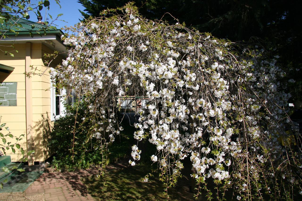 Carawatha Gardens Villa Bright Eksteriør billede