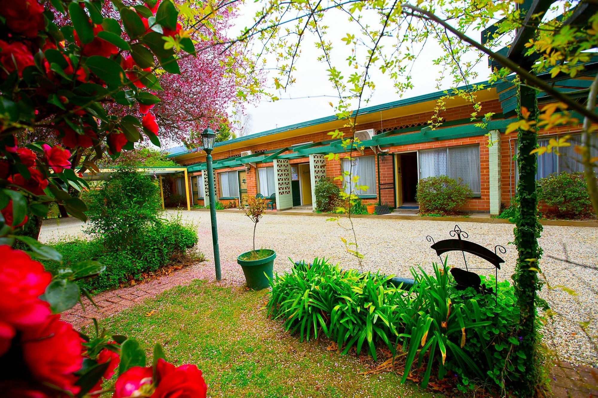 Carawatha Gardens Villa Bright Eksteriør billede